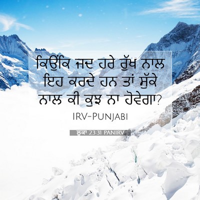 Picture 07 - ਲੂਕਾ 23:31 PANIRV - ਕਿਉਂਕਿ ਜਦ ਹਰੇ ਰੁੱਖ - Bible Verse Picture