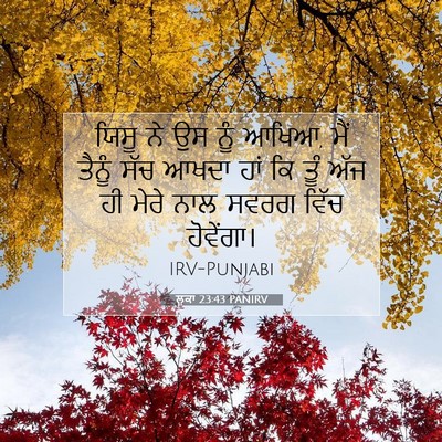 Picture 07 - ਲੂਕਾ 23:43 PANIRV - ਯਿਸੂ ਨੇ ਉਸ ਨੂੰ - Bible Verse Picture