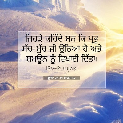 Picture 07 - ਲੂਕਾ 24:34 PANIRV - ਜਿਹੜੇ ਕਹਿੰਦੇ ਸਨ ਕਿ - Bible Verse Picture