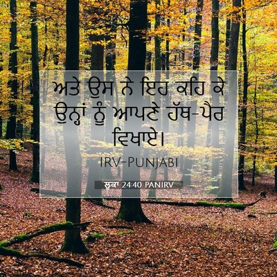 Picture 07 - ਲੂਕਾ 24:40 PANIRV - ਅਤੇ ਉਸ ਨੇ ਇਹ ਕਹਿ ਕੇ - Bible Verse Picture