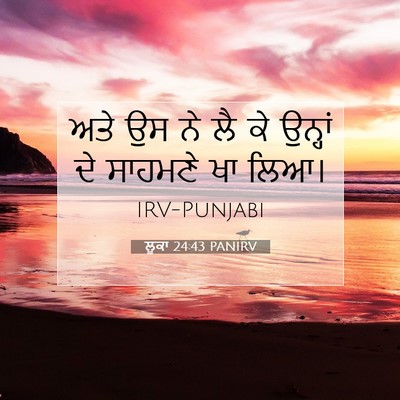 Picture 07 - ਲੂਕਾ 24:43 PANIRV - ਅਤੇ ਉਸ ਨੇ ਲੈ ਕੇ - Bible Verse Picture