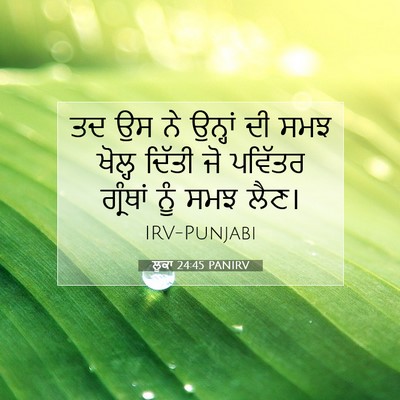 Picture 07 - ਲੂਕਾ 24:45 PANIRV - ਤਦ ਉਸ ਨੇ ਉਨ੍ਹਾਂ ਦੀ - Bible Verse Picture
