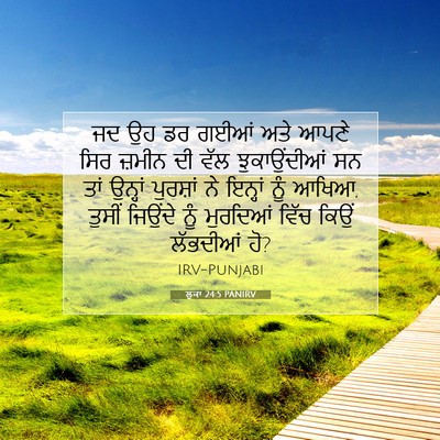 Picture 07 - ਲੂਕਾ 24:5 PANIRV - ਜਦ ਉਹ ਡਰ ਗਈਆਂ ਅਤੇ - Bible Verse Picture