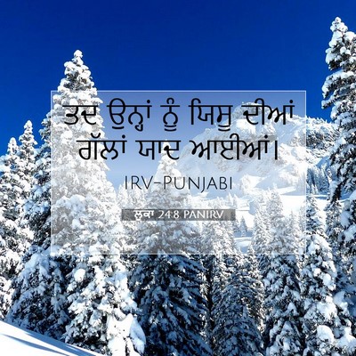 Picture 07 - ਲੂਕਾ 24:8 PANIRV - ਤਦ ਉਨ੍ਹਾਂ ਨੂੰ ਯਿਸੂ - Bible Verse Picture