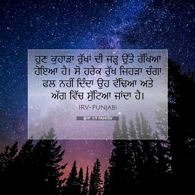 Picture 07 - ਲੂਕਾ 3:9 PANIRV - ਹੁਣ ਕੁਹਾੜਾ ਰੁੱਖਾਂ - Bible Verse Picture