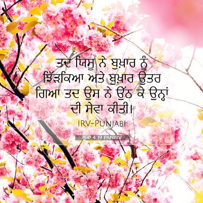 Picture 07 - ਲੂਕਾ 4:39 PANIRV - ਤਦ ਯਿਸੂ ਨੇ ਬੁਖ਼ਾਰ - Bible Verse Picture