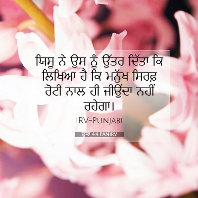 Picture 07 - ਲੂਕਾ 4:4 PANIRV - ਯਿਸੂ ਨੇ ਉਸ ਨੂੰ ਉੱਤਰ - Bible Verse Picture