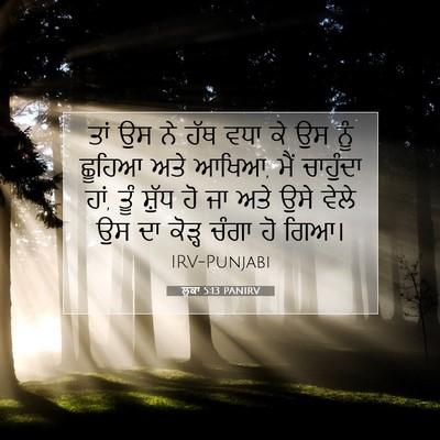 Picture 07 - ਲੂਕਾ 5:13 PANIRV - ਤਾਂ ਉਸ ਨੇ ਹੱਥ ਵਧਾ - Bible Verse Picture