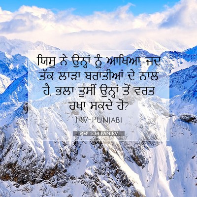 Picture 07 - ਲੂਕਾ 5:34 PANIRV - ਯਿਸੂ ਨੇ ਉਨ੍ਹਾਂ ਨੂੰ - Bible Verse Picture