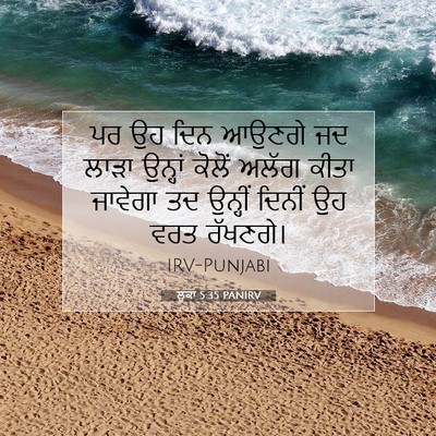 Picture 07 - ਲੂਕਾ 5:35 PANIRV - ਪਰ ਉਹ ਦਿਨ ਆਉਣਗੇ ਜਦ - Bible Verse Picture