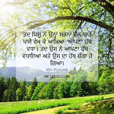 Picture 07 - ਲੂਕਾ 6:10 PANIRV - ਤਦ ਯਿਸੂ ਨੇ ਉਨ੍ਹਾਂ - Bible Verse Picture