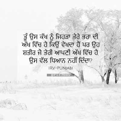 Picture 07 - ਲੂਕਾ 6:41 PANIRV - ਤੂੰ ਉਸ ਕੱਖ ਨੂੰ - Bible Verse Picture