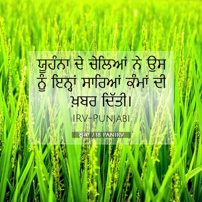 Picture 07 - ਲੂਕਾ 7:18 PANIRV - ਯੂਹੰਨਾ ਦੇ ਚੇਲਿਆਂ - Bible Verse Picture