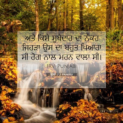 Picture 07 - ਲੂਕਾ 7:2 PANIRV - ਅਤੇ ਕਿਸੇ ਸੂਬੇਦਾਰ - Bible Verse Picture