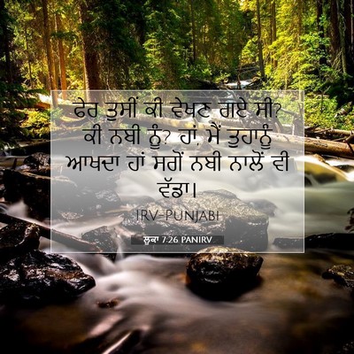 Picture 07 - ਲੂਕਾ 7:26 PANIRV - ਫੇਰ ਤੁਸੀਂ ਕੀ ਵੇਖਣ - Bible Verse Picture