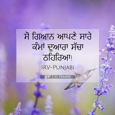 Picture 07 - ਲੂਕਾ 7:35 PANIRV - ਸੋ ਗਿਆਨ ਆਪਣੇ ਸਾਰੇ - Bible Verse Picture