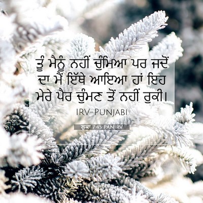Picture 07 - ਲੂਕਾ 7:45 PANIRV - ਤੂੰ ਮੈਨੂੰ ਨਹੀਂ - Bible Verse Picture
