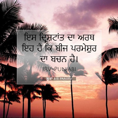 Picture 07 - ਲੂਕਾ 8:11 PANIRV - ਇਸ ਦ੍ਰਿਸ਼ਟਾਂਤ ਦਾ - Bible Verse Picture