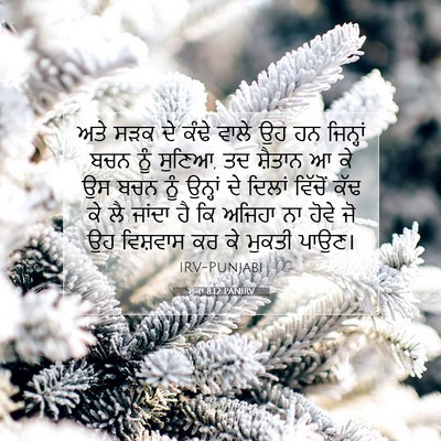Picture 07 - ਲੂਕਾ 8:12 PANIRV - ਅਤੇ ਸੜਕ ਦੇ ਕੰਢੇ - Bible Verse Picture