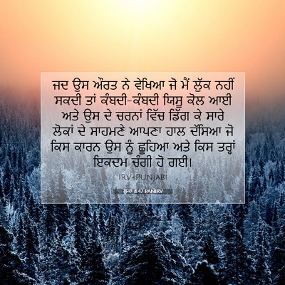 Picture 07 - ਲੂਕਾ 8:47 PANIRV - ਜਦ ਉਸ ਔਰਤ ਨੇ ਵੇਖਿਆ - Bible Verse Picture
