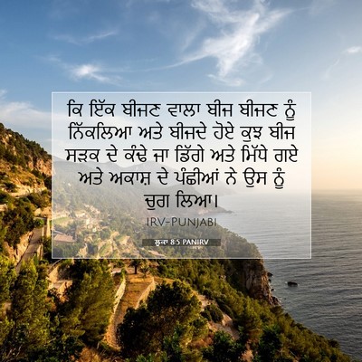 Picture 07 - ਲੂਕਾ 8:5 PANIRV - ਕਿ ਇੱਕ ਬੀਜਣ ਵਾਲਾ - Bible Verse Picture