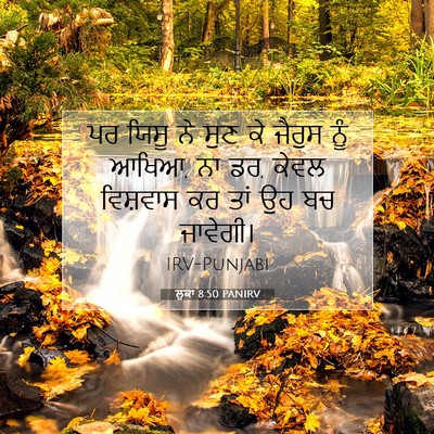 Picture 07 - ਲੂਕਾ 8:50 PANIRV - ਪਰ ਯਿਸੂ ਨੇ ਸੁਣ ਕੇ - Bible Verse Picture