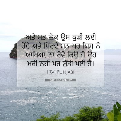 Picture 07 - ਲੂਕਾ 8:52 PANIRV - ਅਤੇ ਸਭ ਲੋਕ ਉਸ ਕੁੜੀ - Bible Verse Picture