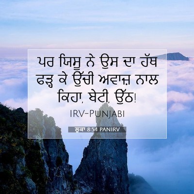 Picture 07 - ਲੂਕਾ 8:54 PANIRV - ਪਰ ਯਿਸੂ ਨੇ ਉਸ ਦਾ - Bible Verse Picture