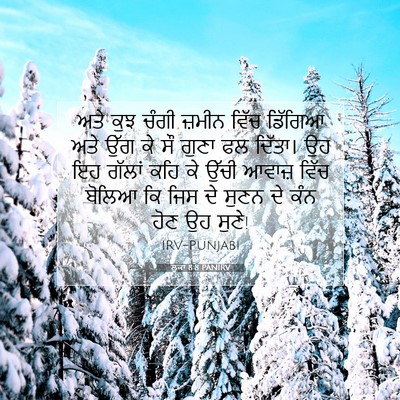 Picture 07 - ਲੂਕਾ 8:8 PANIRV - ਅਤੇ ਕੁਝ ਚੰਗੀ ਜ਼ਮੀਨ - Bible Verse Picture