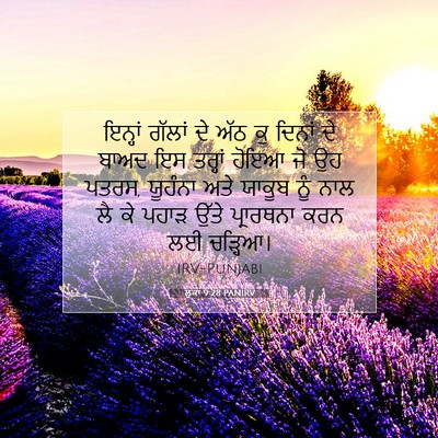 Picture 07 - ਲੂਕਾ 9:28 PANIRV - ਇਨ੍ਹਾਂ ਗੱਲਾਂ ਦੇ - Bible Verse Picture