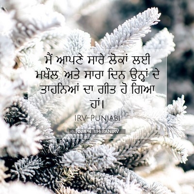Picture 07 - ਵਿਰਲਾਪ 3:14 PANIRV - ਮੈਂ ਆਪਣੇ ਸਾਰੇ - Bible Verse Picture