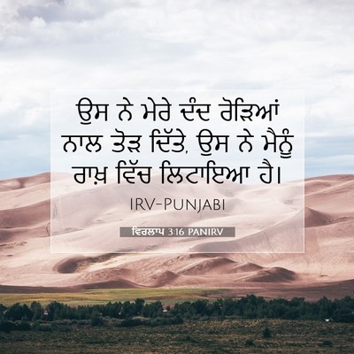 Picture 07 - ਵਿਰਲਾਪ 3:16 PANIRV - ਉਸ ਨੇ ਮੇਰੇ ਦੰਦ - Bible Verse Picture