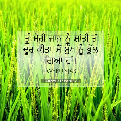 Picture 07 - ਵਿਰਲਾਪ 3:17 PANIRV - ਤੂੰ ਮੇਰੀ ਜਾਨ ਨੂੰ - Bible Verse Picture