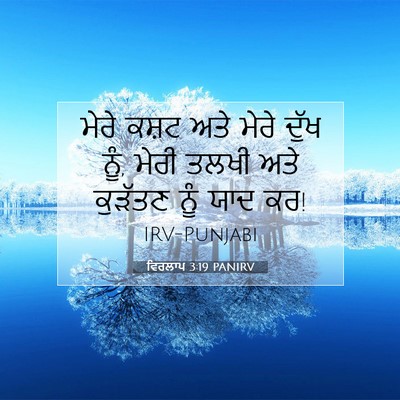 Picture 07 - ਵਿਰਲਾਪ 3:19 PANIRV - ਮੇਰੇ ਕਸ਼ਟ ਅਤੇ ਮੇਰੇ - Bible Verse Picture