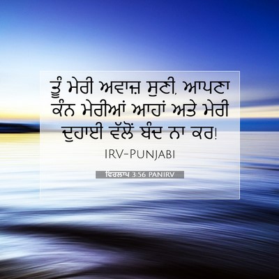 Picture 07 - ਵਿਰਲਾਪ 3:56 PANIRV - ਤੂੰ ਮੇਰੀ ਅਵਾਜ਼ - Bible Verse Picture