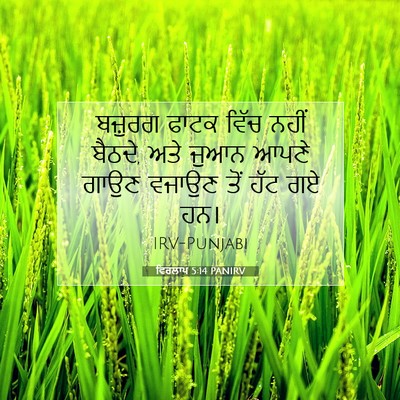 Picture 07 - ਵਿਰਲਾਪ 5:14 PANIRV - ਬਜ਼ੁਰਗ ਫਾਟਕ ਵਿੱਚ - Bible Verse Picture
