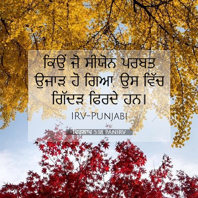 Picture 07 - ਵਿਰਲਾਪ 5:18 PANIRV - ਕਿਉਂ ਜੋ ਸੀਯੋਨ ਪਰਬਤ - Bible Verse Picture