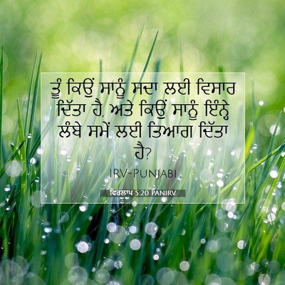 Picture 07 - ਵਿਰਲਾਪ 5:20 PANIRV - ਤੂੰ ਕਿਉਂ ਸਾਨੂੰ ਸਦਾ - Bible Verse Picture