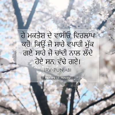 Picture 07 - ਸਫ਼ਨਯਾਹ 1:11 PANIRV - ਹੇ ਮਕਤੇਸ਼ ਦੇ ਵਾਸੀਓ, - Bible Verse Picture