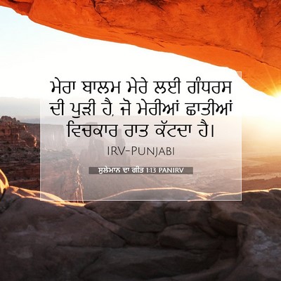 Picture 07 - ਸੁਲੇਮਾਨ ਦਾ ਗੀਤ 1:13 PANIRV - ਮੇਰਾ ਬਾਲਮ ਮੇਰੇ ਲਈ - Bible Verse Picture