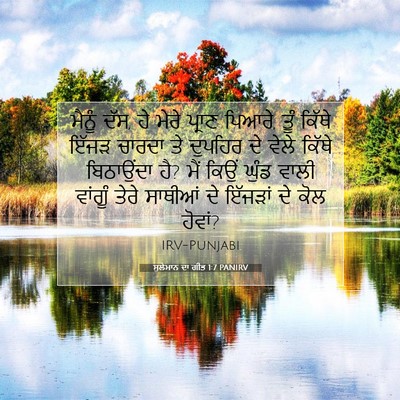 Picture 07 - ਸੁਲੇਮਾਨ ਦਾ ਗੀਤ 1:7 PANIRV - ਮੈਨੂੰ ਦੱਸ, ਹੇ ਮੇਰੇ - Bible Verse Picture
