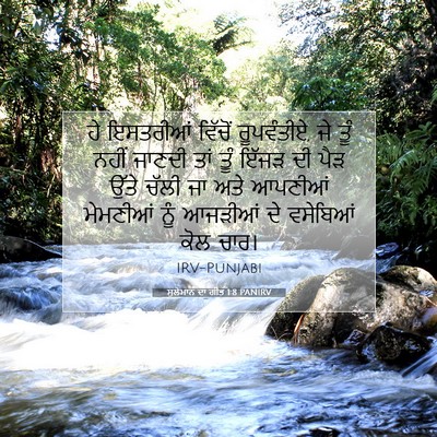Picture 07 - ਸੁਲੇਮਾਨ ਦਾ ਗੀਤ 1:8 PANIRV - ਹੇ ਇਸਤਰੀਆਂ ਵਿੱਚੋਂ - Bible Verse Picture