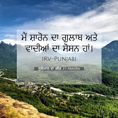 Picture 07 - ਸੁਲੇਮਾਨ ਦਾ ਗੀਤ 2:1 PANIRV - ਮੈਂ ਸ਼ਾਰੋਨ ਦਾ - Bible Verse Picture