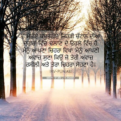 Picture 07 - ਸੁਲੇਮਾਨ ਦਾ ਗੀਤ 2:14 PANIRV - ਹੇ ਮੇਰੀਏ ਕਬੂਤਰੀਏ, - Bible Verse Picture