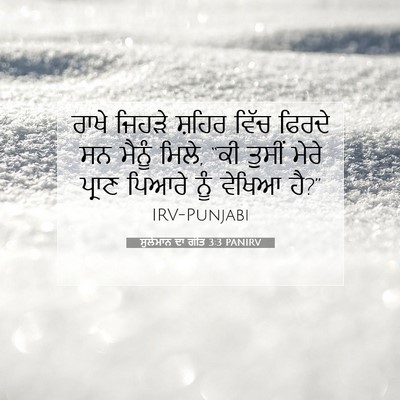 Picture 07 - ਸੁਲੇਮਾਨ ਦਾ ਗੀਤ 3:3 PANIRV - ਰਾਖੇ ਜਿਹੜੇ ਸ਼ਹਿਰ - Bible Verse Picture