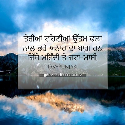 Picture 07 - ਸੁਲੇਮਾਨ ਦਾ ਗੀਤ 4:13 PANIRV - ਤੇਰੀਆਂ ਟਹਿਣੀਆਂ - Bible Verse Picture