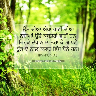 Picture 07 - ਸੁਲੇਮਾਨ ਦਾ ਗੀਤ 5:12 PANIRV - ਉਸ ਦੀਆਂ ਅੱਖਾਂ ਪਾਣੀ - Bible Verse Picture