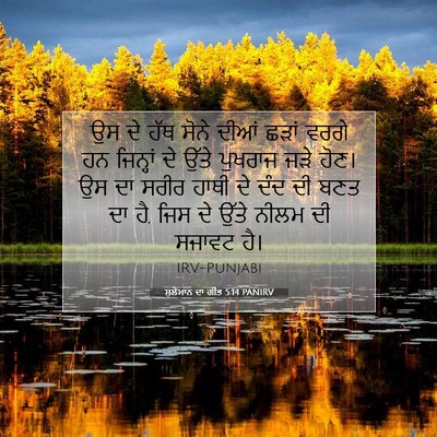 Picture 07 - ਸੁਲੇਮਾਨ ਦਾ ਗੀਤ 5:14 PANIRV - ਉਸ ਦੇ ਹੱਥ ਸੋਨੇ ਦੀਆਂ - Bible Verse Picture