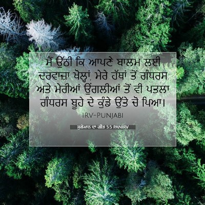 Picture 07 - ਸੁਲੇਮਾਨ ਦਾ ਗੀਤ 5:5 PANIRV - ਮੈਂ ਉੱਠੀ ਕਿ ਆਪਣੇ - Bible Verse Picture
