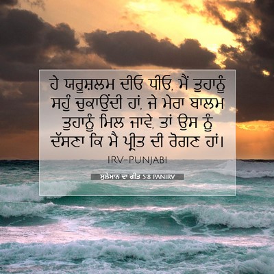 Picture 07 - ਸੁਲੇਮਾਨ ਦਾ ਗੀਤ 5:8 PANIRV - ਹੇ ਯਰੂਸ਼ਲਮ ਦੀਓ ਧੀਓ, - Bible Verse Picture